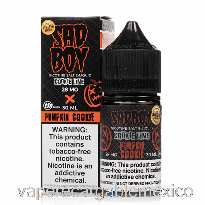 Galleta De Calabaza Vape Recargable - Sales Sadboy - 30ml 28mg